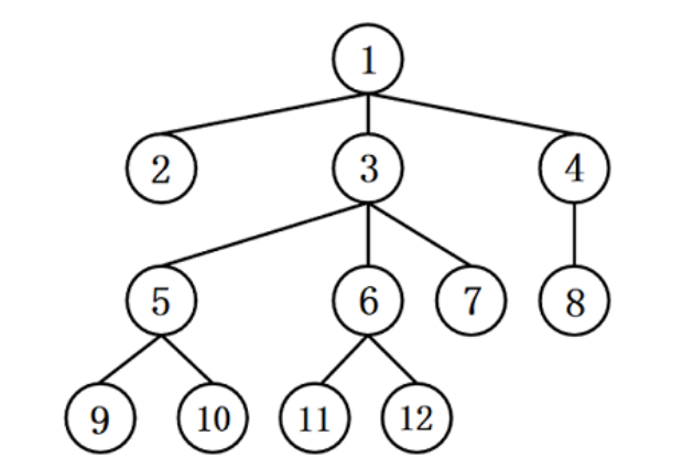 原题深度优先搜索树