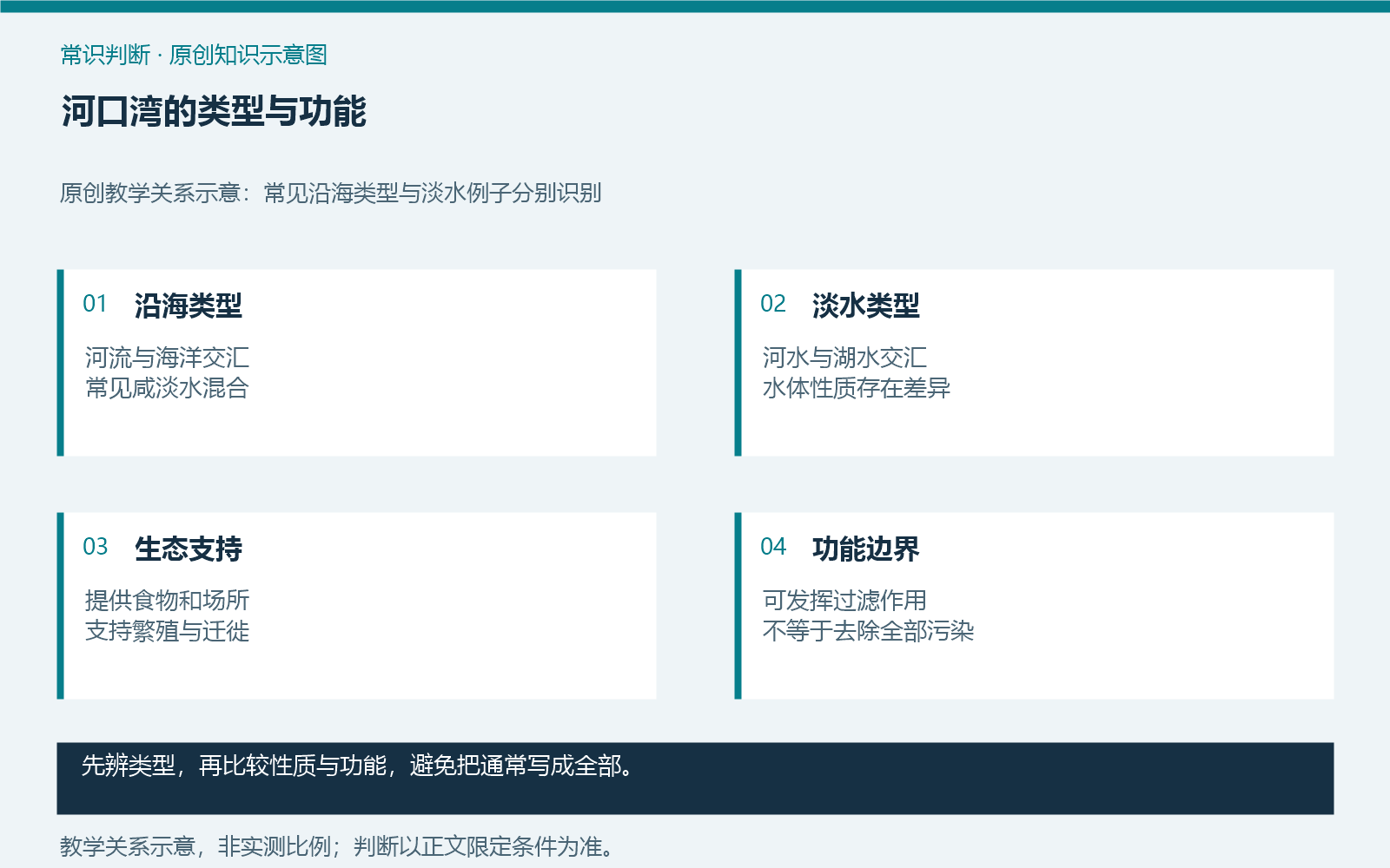 河口湾的类型与功能