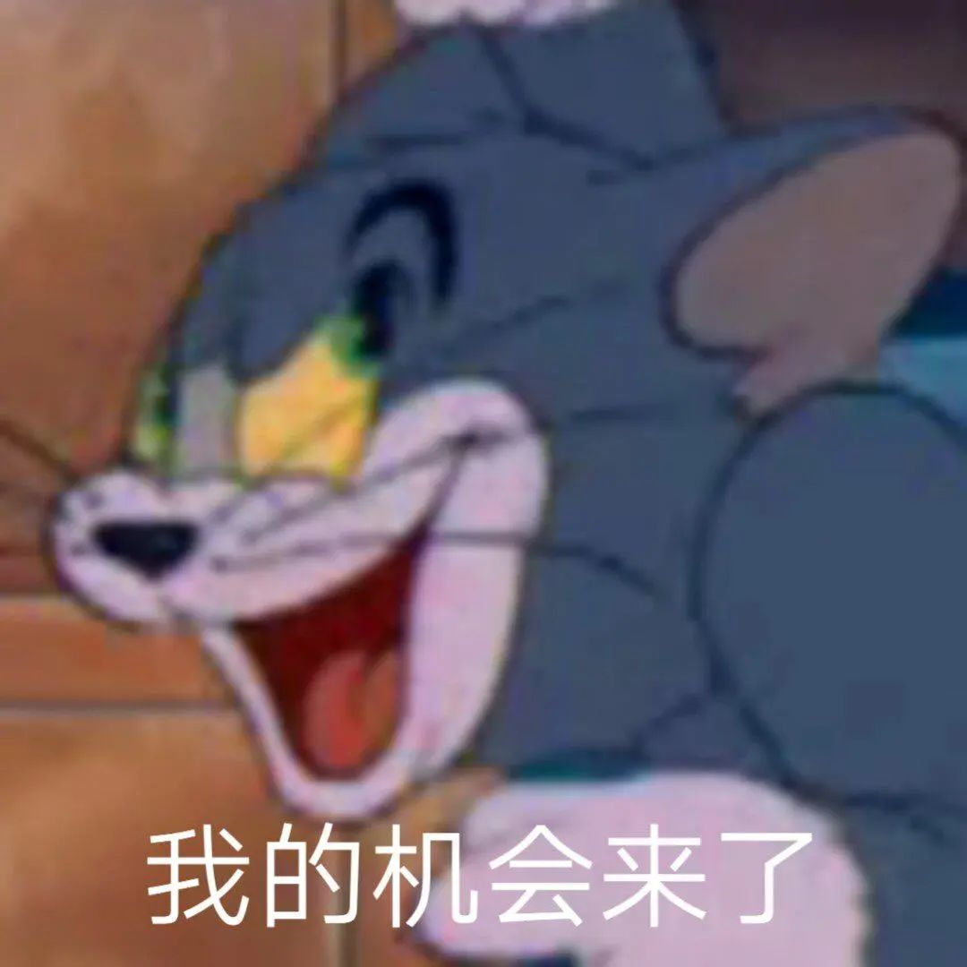 6393097d70bae.jpg