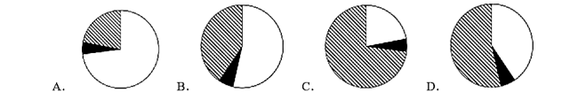 1788143006062