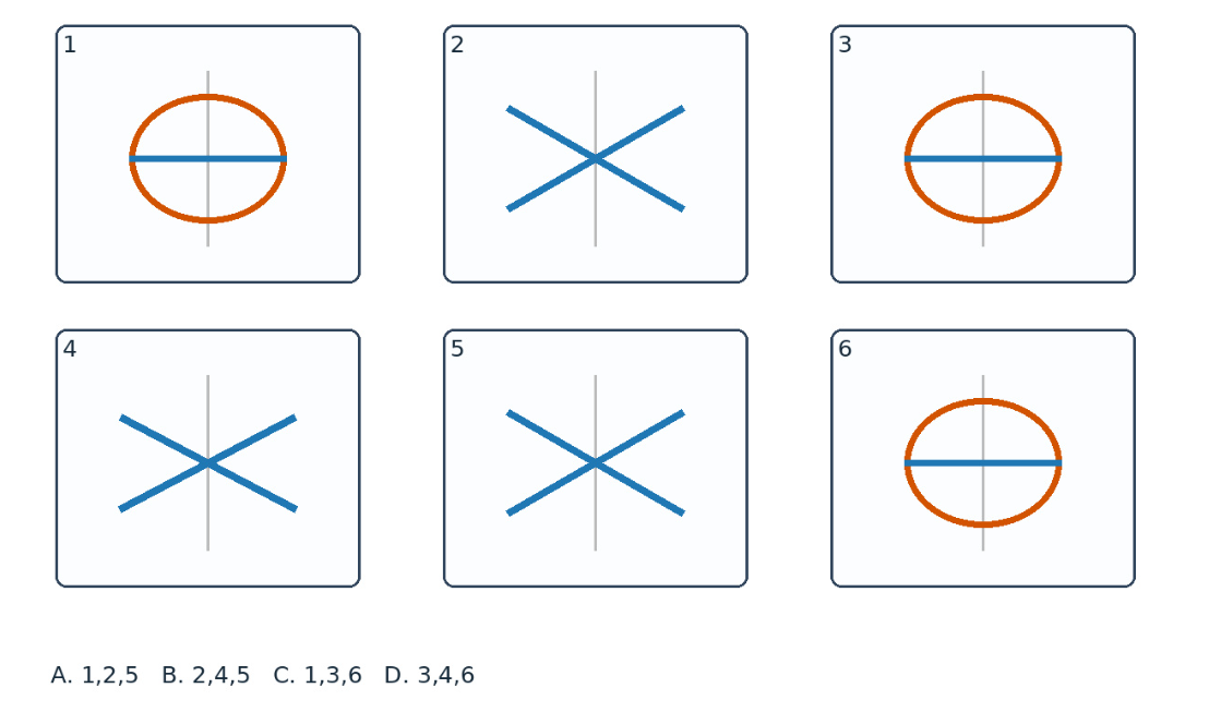 1788503875264